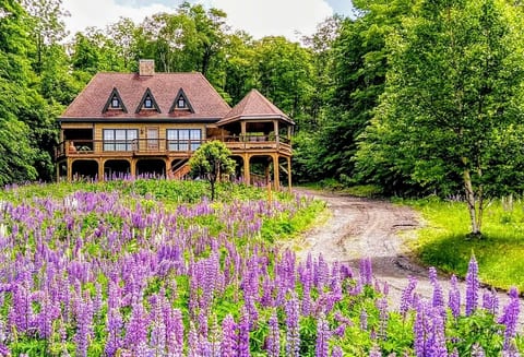 Eagle's Nest Lupine Season