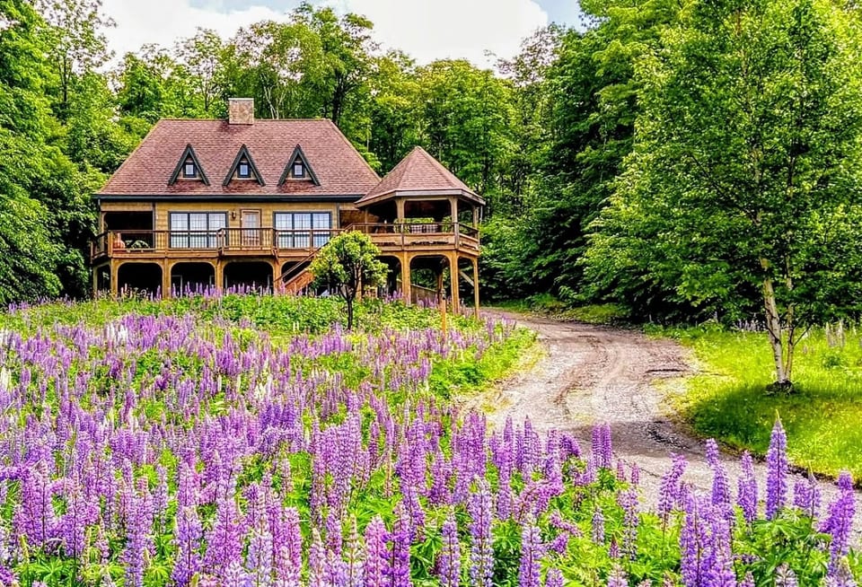 Eagle's Nest Lupine Season