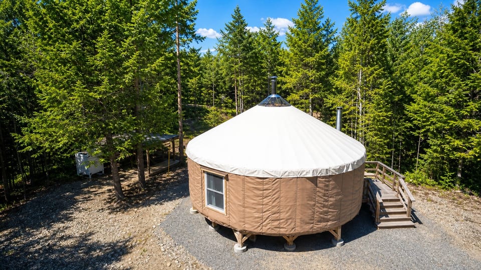 Escape to a peaceful forest yurt surrounded by nature and fresh mountain air.