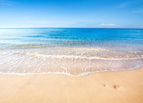 Hellshire Beach, Jamaica, is located near Portmore, and famed for its fried fish and safe swimming.[1] Exposed when there is a sea running to the south, the waters close to shore are often quite cloudy due to the stirred up sand.[1]