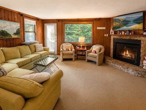 Gas fireplace