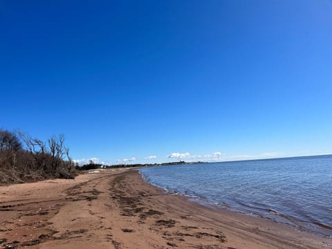 Our beach