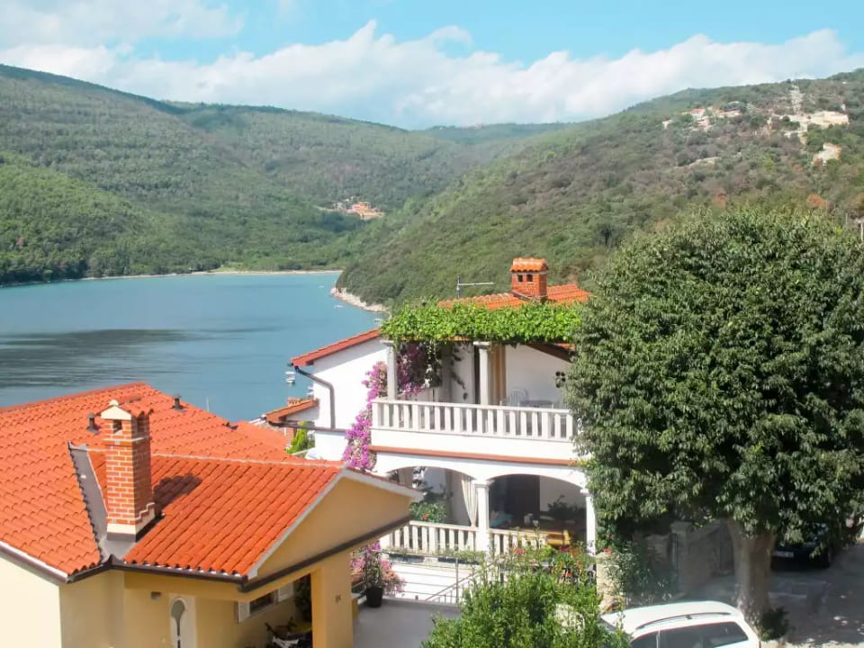 Violetta - Labin