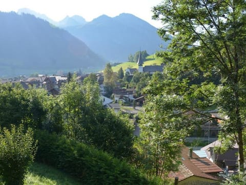 View