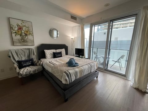 Luxury Condo Studio Downtown Toronto Entertainment Area