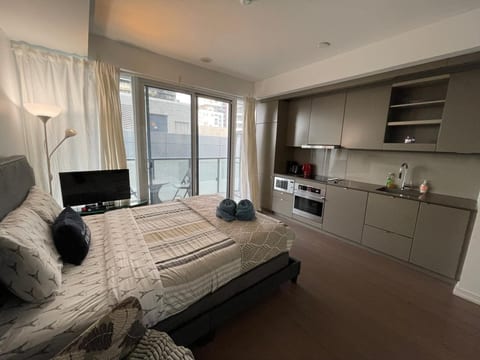 Luxury Condo Studio Downtown Toronto Entertainment Area