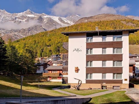 810, Vierzimmer Whg