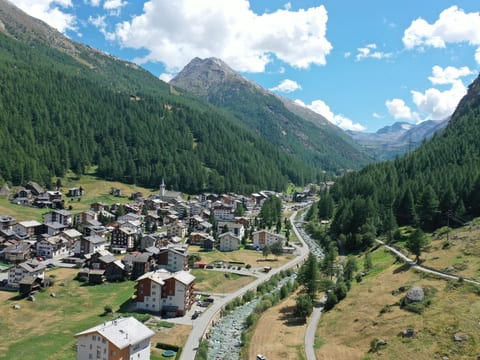 Appartement/Fewo