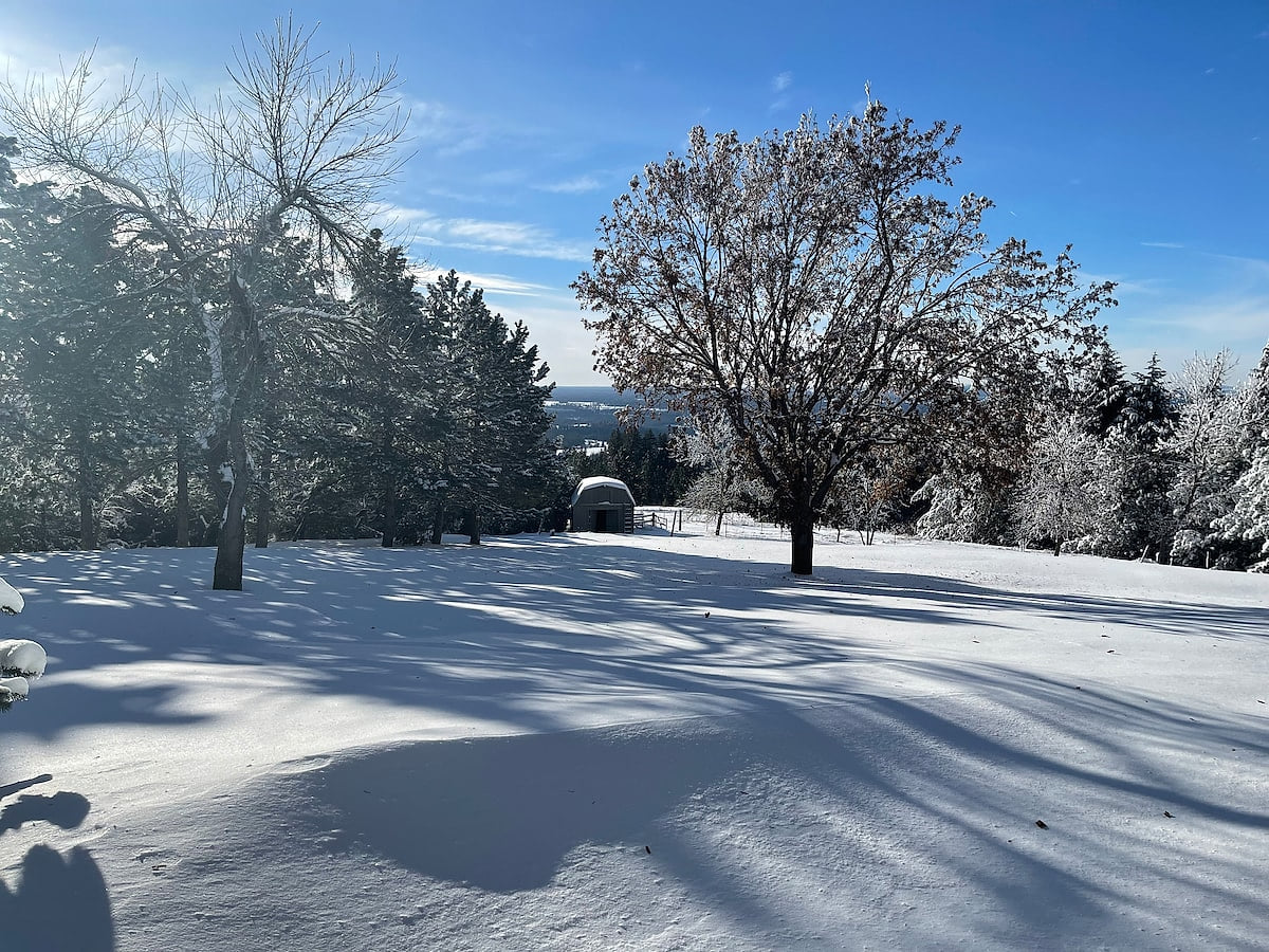 Snow in Winter is Likely