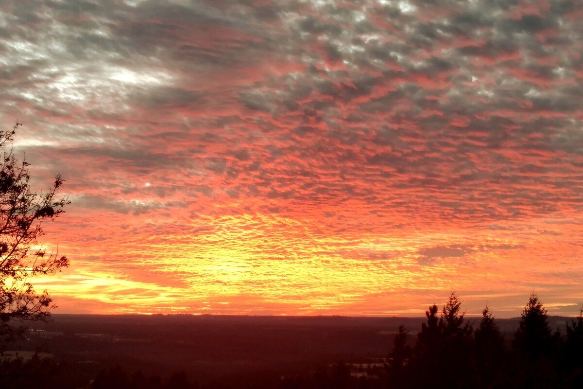 Amazing Sunsets (Guest Photo - December)