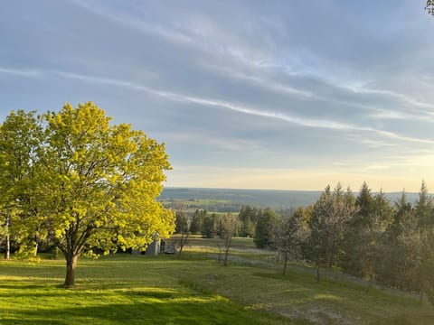 5-Acre Retreat: Wide Open Spaces and Small Forest