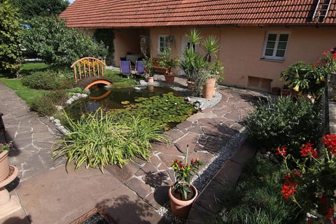 Was man in Garten und Gewächshaus findet darf man ernten.