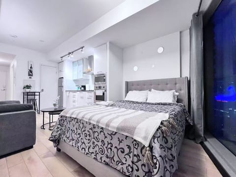 Awesome ICE Condos Studio Downtown Toronto