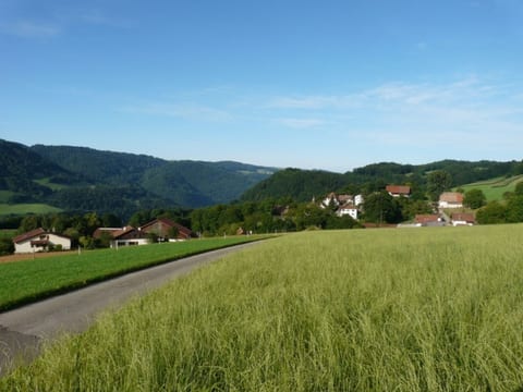 Appartements de vacances - Ma Petite Fontaine, (Seleute),