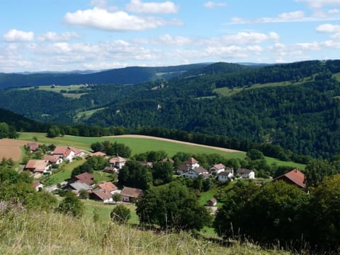 Appartements de vacances - Ma Petite Fontaine, (Seleute),