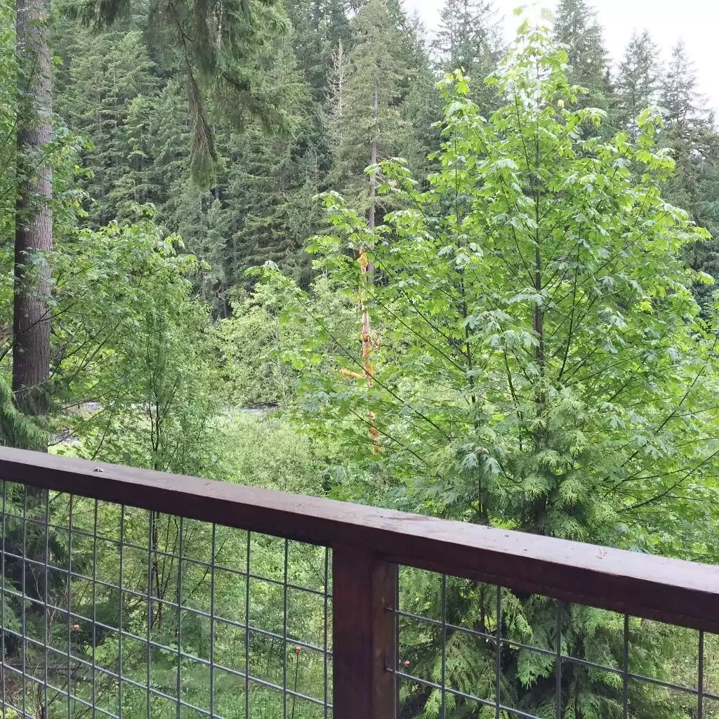 70MBR - Mt Baker Lodging Cabin - Sleeps 8! - Glacier 70MBR - Mt Baker Lodging Cabin - Sleeps 8! - Glacier