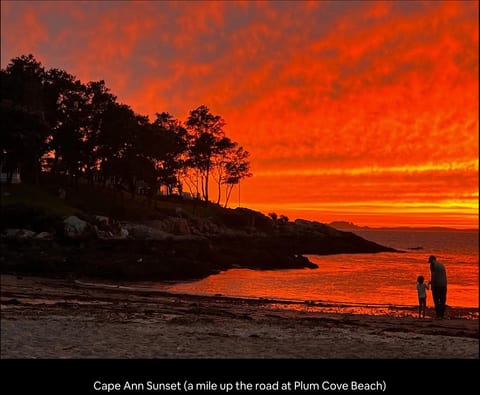 Cape Ann sunset (up the road at Plum Cove)