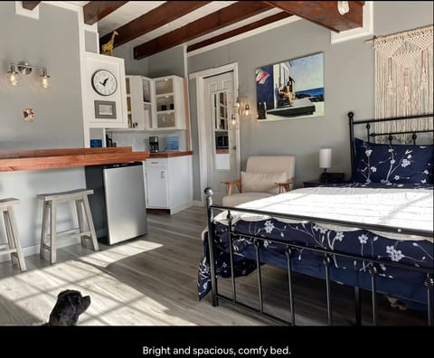 Quirky, Bright, Spacious Private Room Near Water