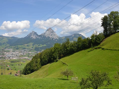 Stockli - Brunnen, (Brunnen).