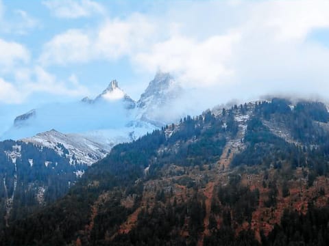 Chalet François, (Champery).