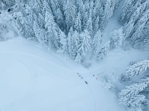 La Chotte du Musher, (Champery).