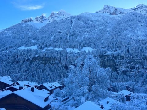 View