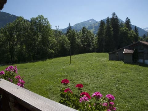Outdoor