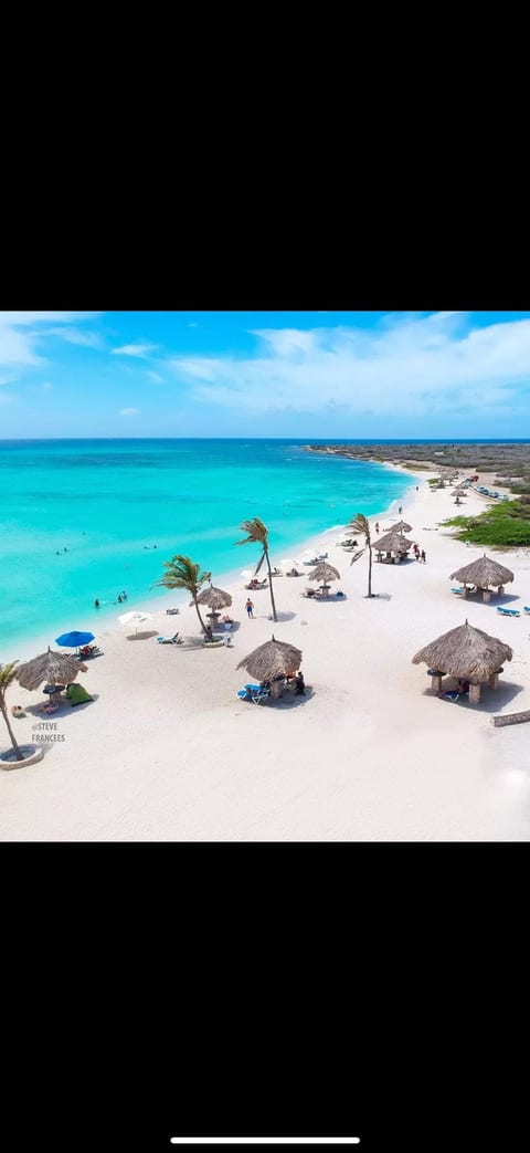Eagle Beach, Aruba
20G Caya Frere Stanislas image 31