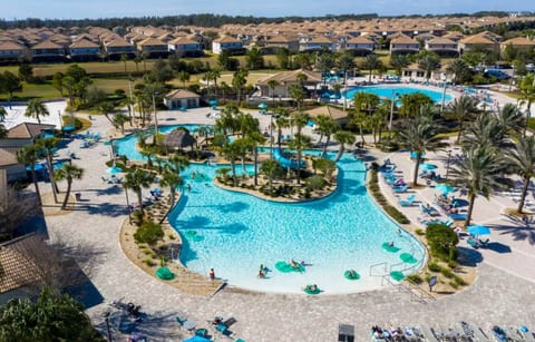 Resort-style pool surrounded by lush palms & vibrant loungers—dive into fun!