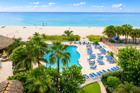Aerial view of the resort's oceanfront pool with lounge chairs and lush palm trees.