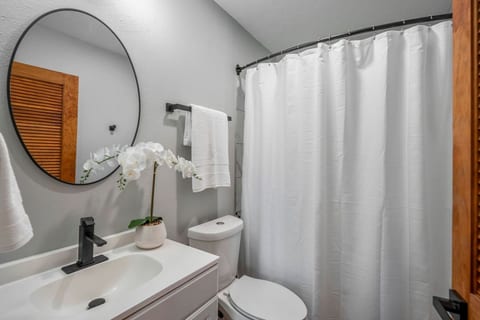 Houston Hideaway Near Downtown & Attractions