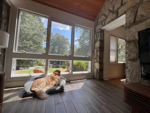 Sun-filled living room with forest views and cozy rustic charm