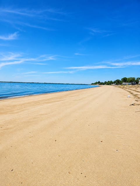 BeachRiver image 5