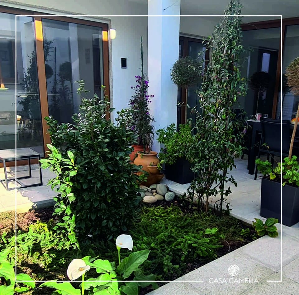 Camellia House - Viana do Castelo