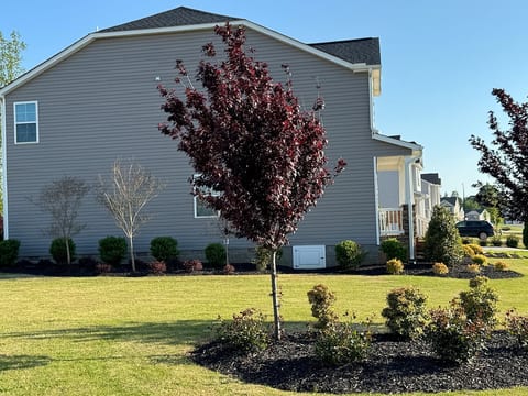 New Home in Mebane image 2