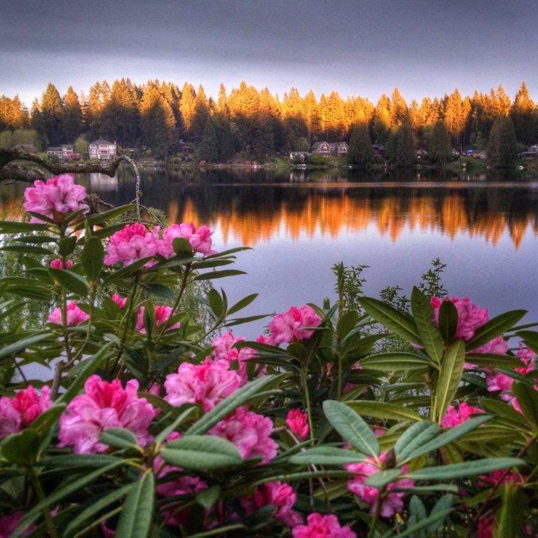 Cottage Lake Bed & Breakfast