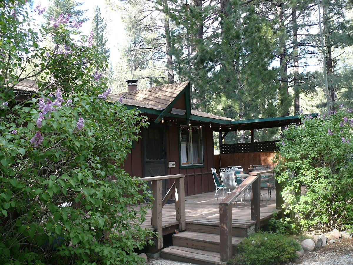 Markleeville Lilac Cottage, Cozy Creekside Cabin