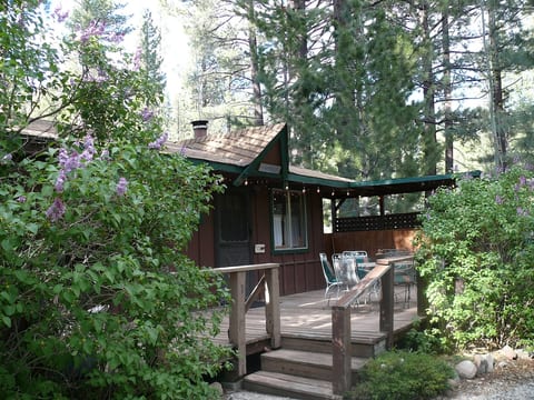 YOU BELONG HERE! WELCOME TO YOUR OTHER HOME! LILAC COTTAGE IN MARKLEEVILLE WELCOMES YOU! . private 1 bdrm cottage on the creek on 1/3 acre of garden property