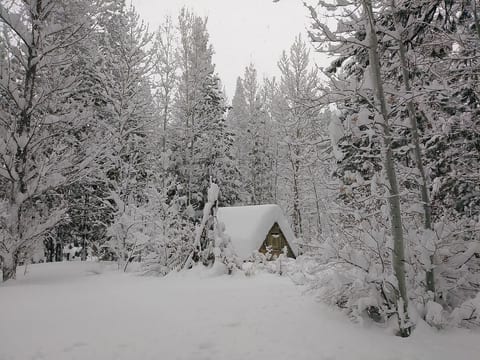 Markleeville Lilac Cottage, Cozy Creekside Cabin