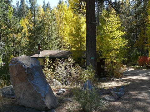 Markleeville Lilac Cottage, Cozy Creekside Cabin