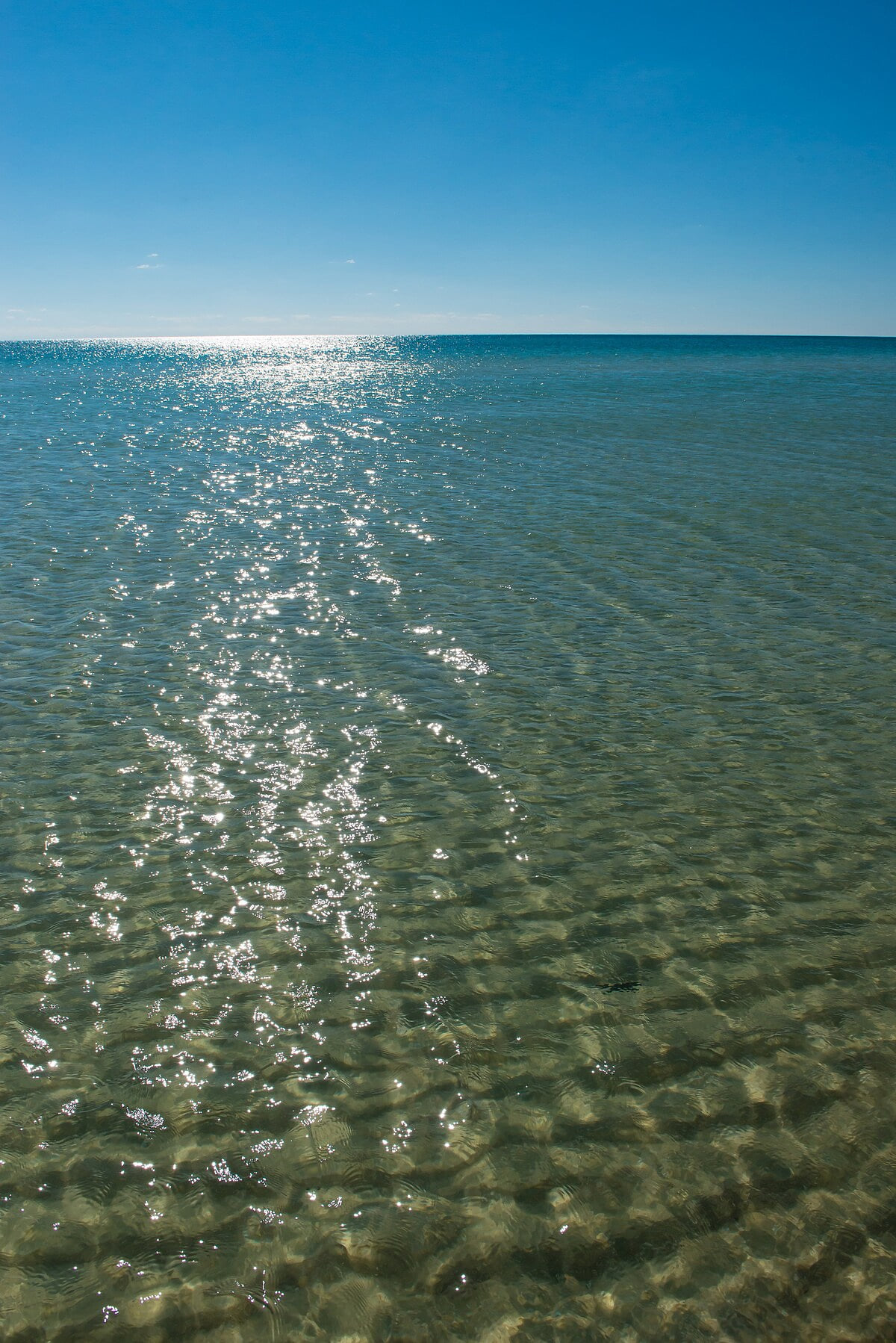 3 minute walk to the beautiful Gulf of Mexico