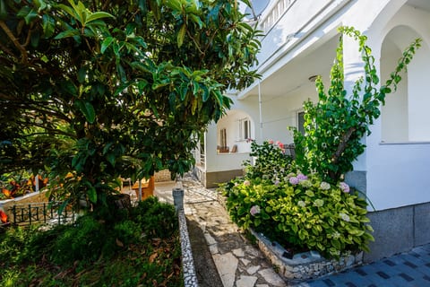 Apartments Villa Perla - Unit 46545-61