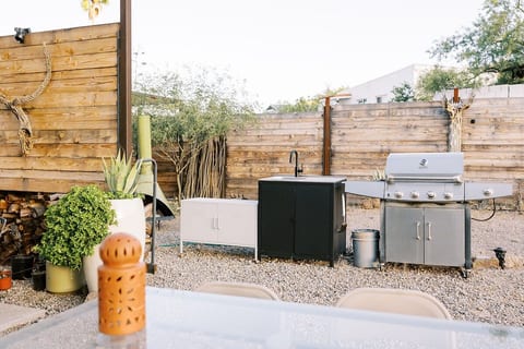 Outdoor sink and BBQ