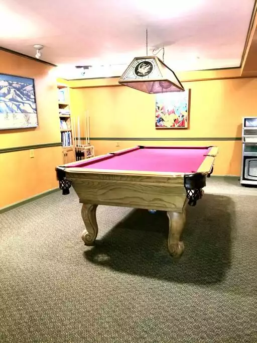 Playing pool with friends...lots of fun! - Eagle studio large apartment - Andes