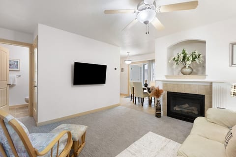living room with smart tv and fireplace