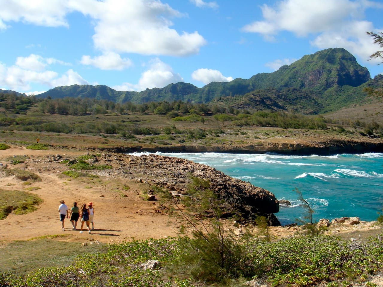 FamilyGetaway,HeatedPool,OceanViews,WalktoBeaches - Koloa FamilyGetaway,HeatedPool,OceanViews,WalktoBeaches - Koloa