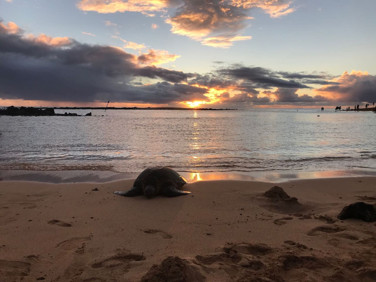 FamilyGetaway,HeatedPool,OceanViews,WalktoBeaches - Koloa FamilyGetaway,HeatedPool,OceanViews,WalktoBeaches - Koloa