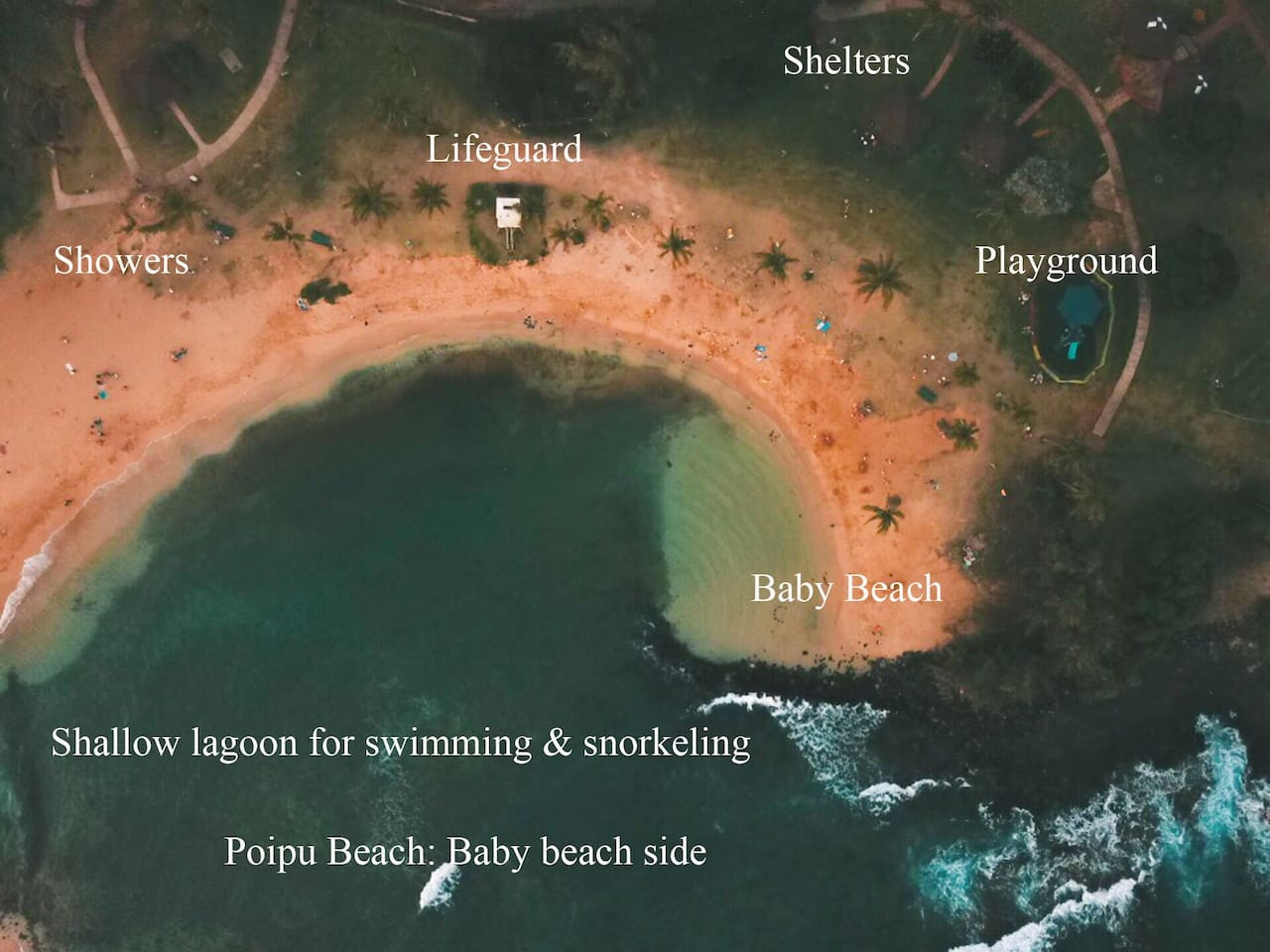 FamilyGetaway,HeatedPool,OceanViews,WalktoBeaches - Koloa FamilyGetaway,HeatedPool,OceanViews,WalktoBeaches - Koloa