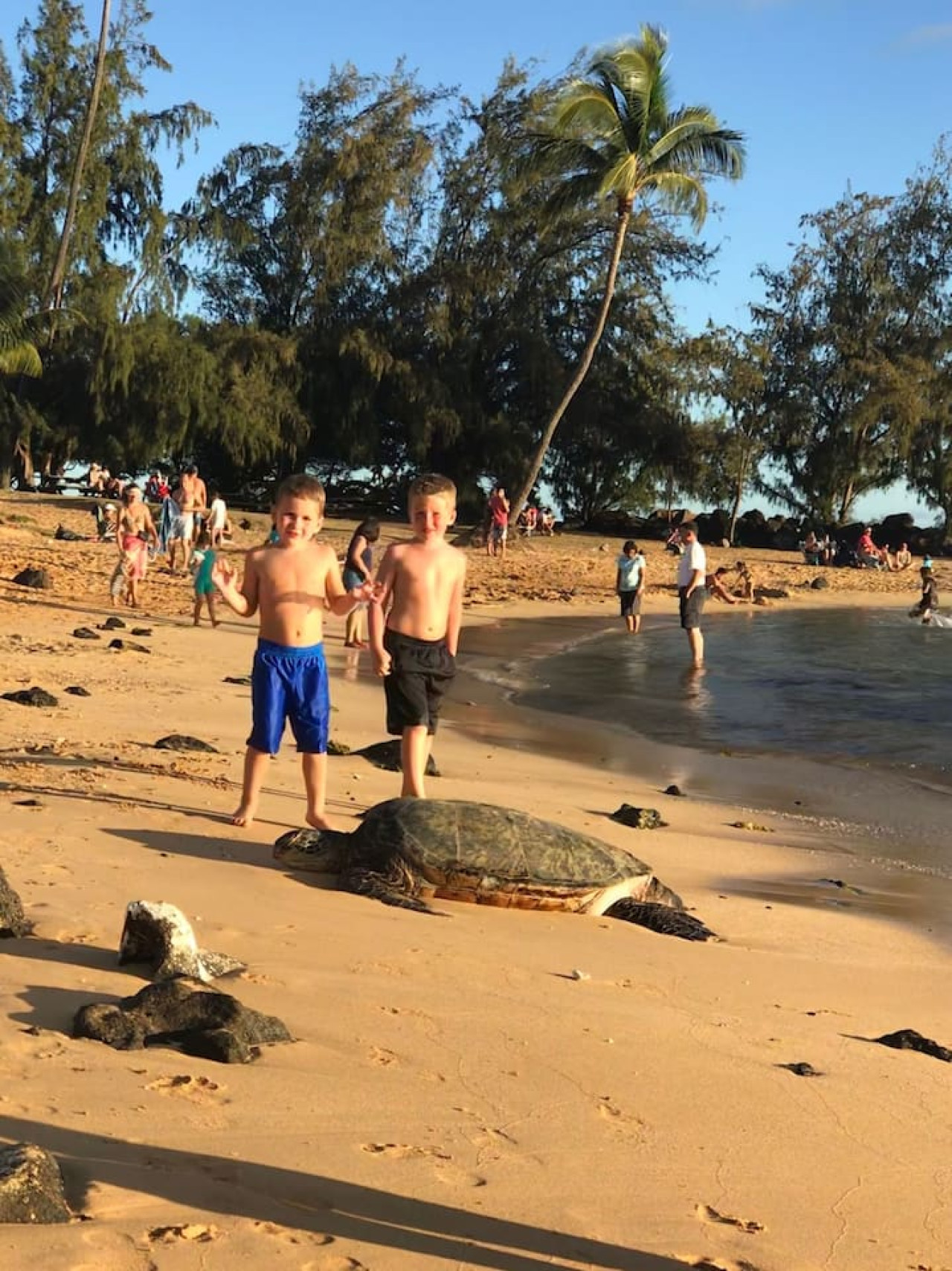 FamilyGetaway,HeatedPool,OceanViews,WalktoBeaches - Koloa FamilyGetaway,HeatedPool,OceanViews,WalktoBeaches - Koloa