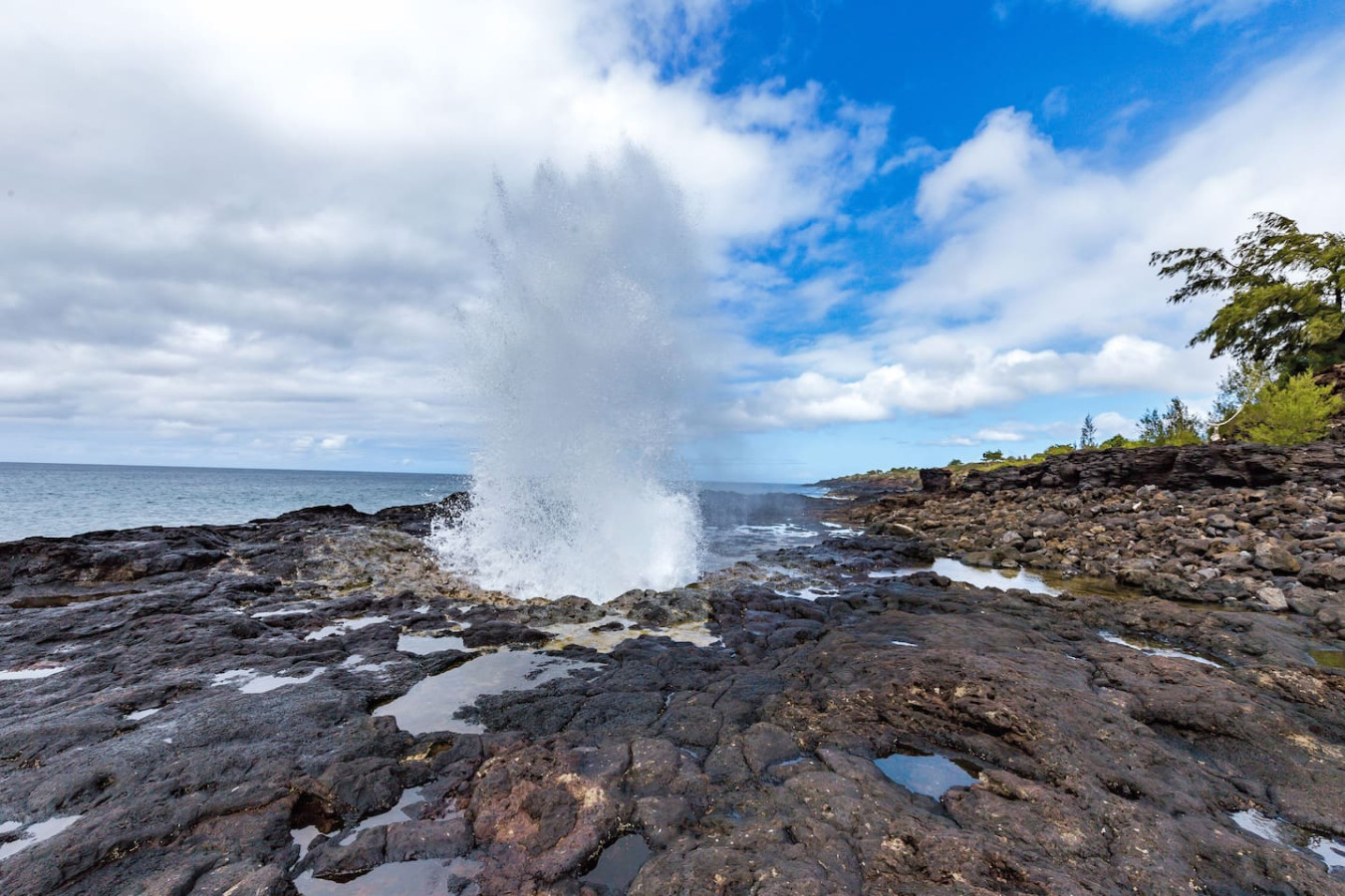 FamilyGetaway,HeatedPool,OceanViews,WalktoBeaches - Koloa FamilyGetaway,HeatedPool,OceanViews,WalktoBeaches - Koloa